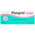 PANGROL POR 20000IU TBL ENT 20 II – Sleviste.cz