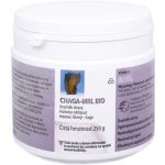 MRL Čaga Chaga 100 g BIO prášek – Hledejceny.cz