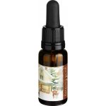 Soaphoria Kouzelný punč Směs éterických olejů 10 ml – Hledejceny.cz