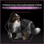 Pro Plan Medium & Large Adult 7+ Age Defence kuře 14 kg – Zbozi.Blesk.cz