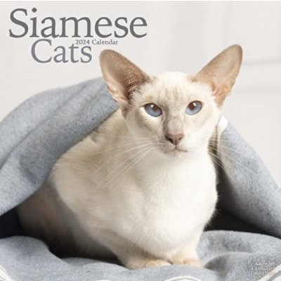 Cats Siamese Square Cat Wall 16 Month 2024