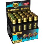 Z-Konzept Magnesium Shots 20 x 25 ml – Hledejceny.cz