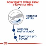 Royal Canin Maxi Adult 5+ 15 kg – Zboží Mobilmania