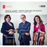 Johannes Brahms - Complete Piano Trios And Quartets CD – Hledejceny.cz
