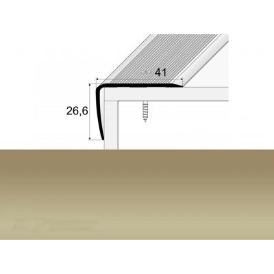 Profil Team Schodová hrana šampaň E02 41x27 mm 2,7 m – Zboží Mobilmania