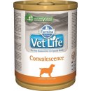 Vet Life Natural Dog Convalescence 300 g