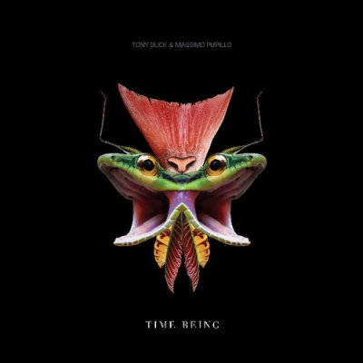 Time Being - Tony Buck & Massimo Pupillo LP – Zbozi.Blesk.cz