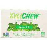 Xylichew Spearmint 12 x 15,6 g – Sleviste.cz