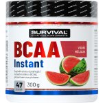 Survival BCAA Instant 300 g – Hledejceny.cz