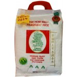 Green Dragon Thajská Jasmínová rýže 5 kg – Zboží Dáma