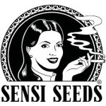 Sensi Seeds Black Harlequin semena neobsahují THC 10 ks – Zboží Mobilmania