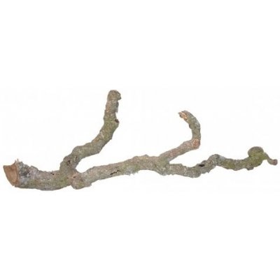 Lucky Reptile Tronchos korková větev 30-40 cm – Zboží Mobilmania