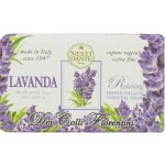 Nesti Dante Dei Colli Fiorentini Lavanda Relaxing přírodní mýdlo 250 g – Hledejceny.cz