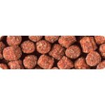 Hikari Wheat-Germ Sinking Medium 1 kg – Hledejceny.cz