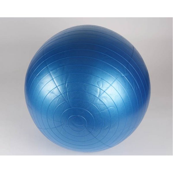 Gymnastický míč Lerko Gymball HAWK Anti-Bust 55 cm