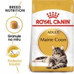 Royal Canin Maine Coon Adult 4 kg – Hledejceny.cz