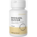 Epigemic Shogaol Zázvor 30 kapslí – Hledejceny.cz