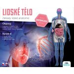 Clementoni Věda a hra Lidské tělo – Hledejceny.cz