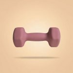 BeastPink Neoprenová jednoručka Hex 4 kg – Zboží Dáma