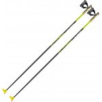 Leki CC 450 2025/26 – Zboží Dáma