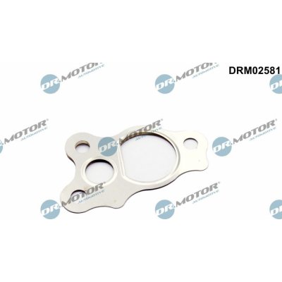 Dr.Motor Automotive DRM02581 – Hledejceny.cz
