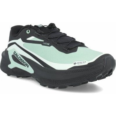 Salomon Genesis 2 GTX Lichen/Black/Clearly Aqua – Hledejceny.cz