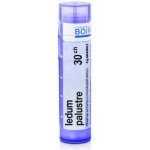 LEDUM PALUSTRE POR 30CH GRA 1X4G – Hledejceny.cz
