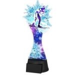 Poháry Bauer Akrylátová trofej ACUTCM67 Běžky – Sleviste.cz