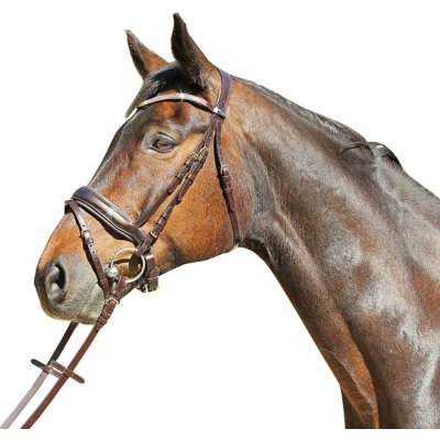 EuroClub Uzdečka Versailles Lak švéd. nán. hnědá – Sleviste.cz