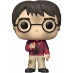 Funko Pop! Harry Potter Harry Potter with The Stone 132 – Hledejceny.cz