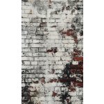 Takoy Panel na závěs, fotoplátno 160x265 cm stará bílá cihla – Hledejceny.cz