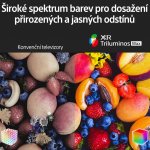 Sony Bravia XR-55A95K – Hledejceny.cz