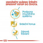 Royal Canin Kavalír King Charles Puppy 1,5 kg – Sleviste.cz