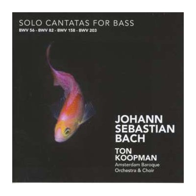 Johann Sebastian Bach - Kantaten Bwv 56,82,158,203 CD – Hledejceny.cz