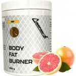 Cybergenix BODY FAT BURNER 500 g – Zboží Dáma