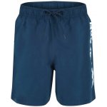 Reebok Yestin Swim pánské šortky Collegiate Navy – Zboží Dáma