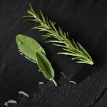 Giorgio Armani Acqua di Giò parfém pánský 200 ml – Sleviste.cz