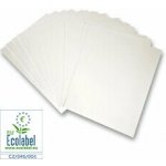 Papírna Aloisov - kreslicí karton - A4, 180 g/m2, 200 listů – Zboží Dáma