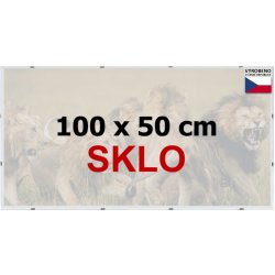 BFHM Rám na puzzle Euroclip 100x50cm (sklo)