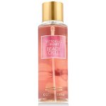 Victoria's Secret Beach Chill tělový sprej 250 ml – Zboží Dáma
