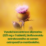 Walmark Ostropestřec mariánský 7000 mg Forte 30 tablet – Hledejceny.cz