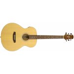 Ashton SL20EQ – Zboží Dáma