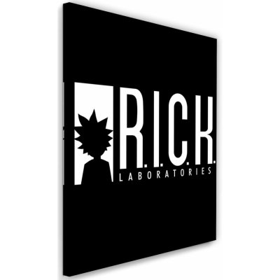 Gario Obraz na plátně Animovaný seriál R.I.C.K labs - Dr.Monekers Rozměry: 40 x 60 cm – Hledejceny.cz