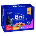 Brit Premium Cat Family Plate 12 x 100 g – Sleviste.cz