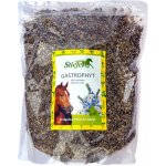 Stiefel Gastrophyt byliny pro zažívání střeva 1 kg – Hledejceny.cz