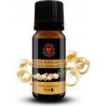 Day Spa Esenciální olej Cedr 10 ml – Hledejceny.cz