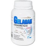 Orling - Chondrocan Forte 150 g – Hledejceny.cz