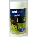 NutriHorse Junior 1 kg – Hledejceny.cz