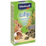 Vitakraft Rodent Lofty´s all rodent 100 g – Sleviste.cz