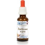 Bachovy kapky pro psy kapky Žárlivost u psa 30 ml – Hledejceny.cz